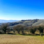 San Quirico d'Orcia guida