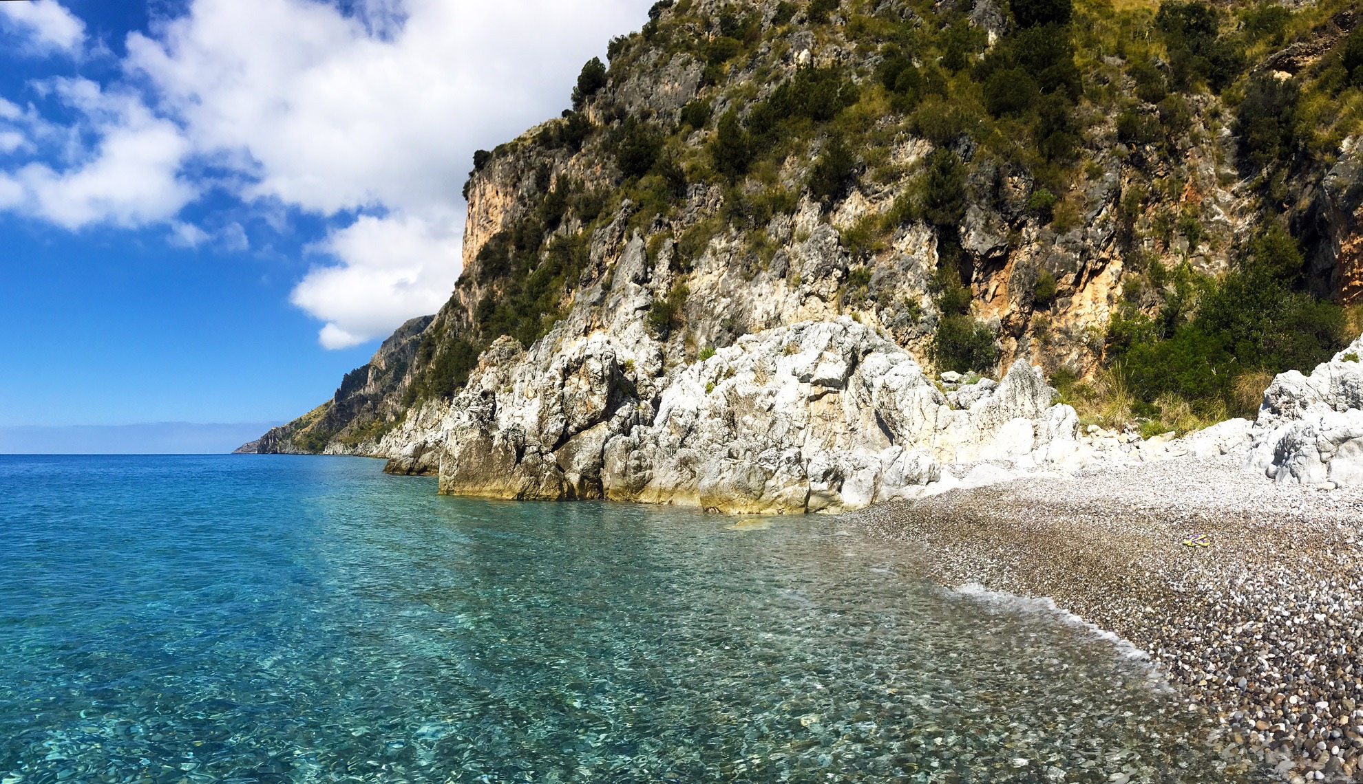 Scario