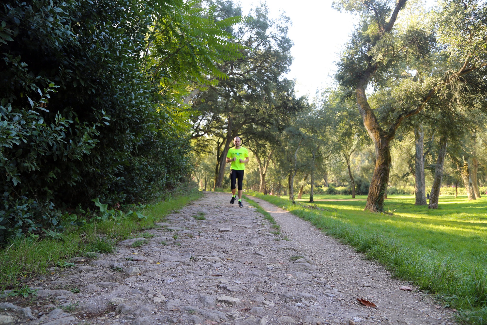 run day