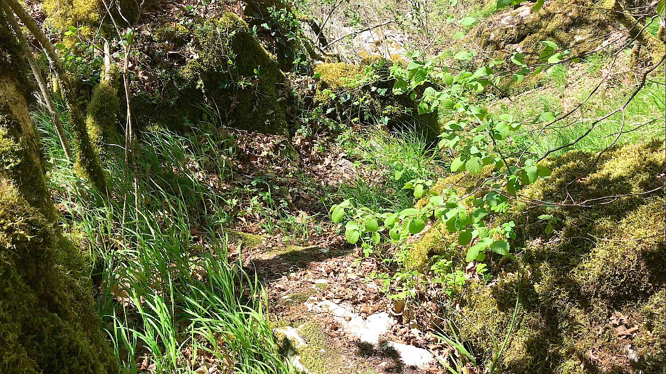 cascata di collalto sabino