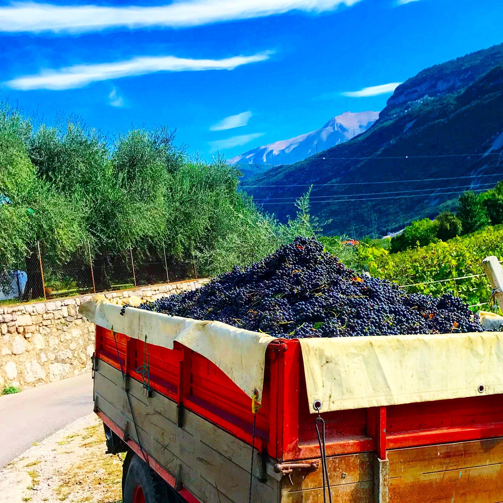 Alto Garda