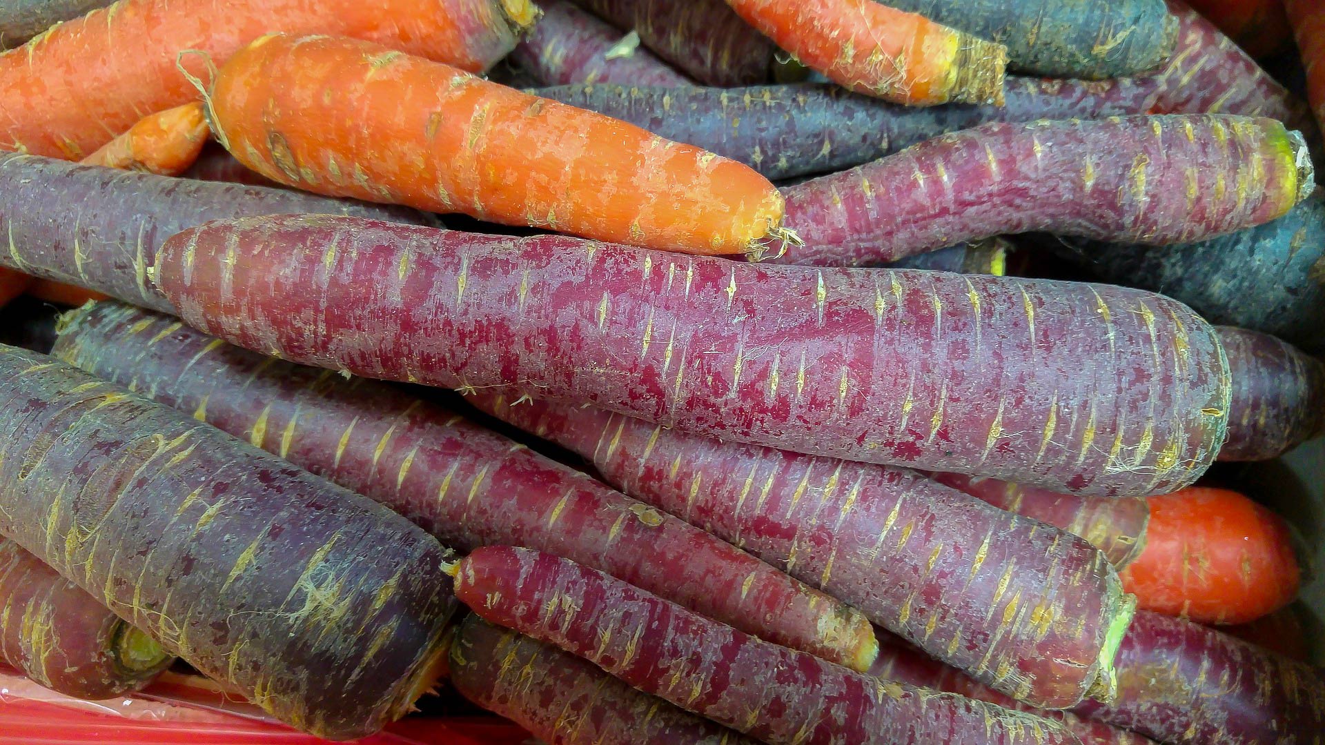 Le carote di San Vito